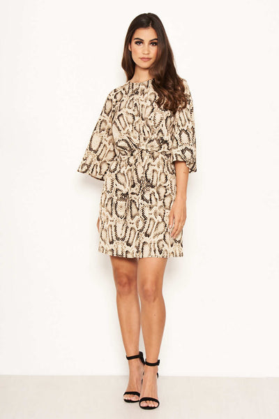 Snake Print Tie Front Shift Dress AX Paris