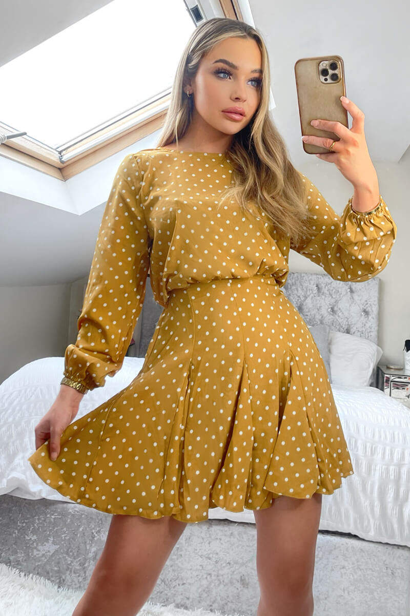 Mustard Polka Dot Long Sleeve Skater Dress AX Paris