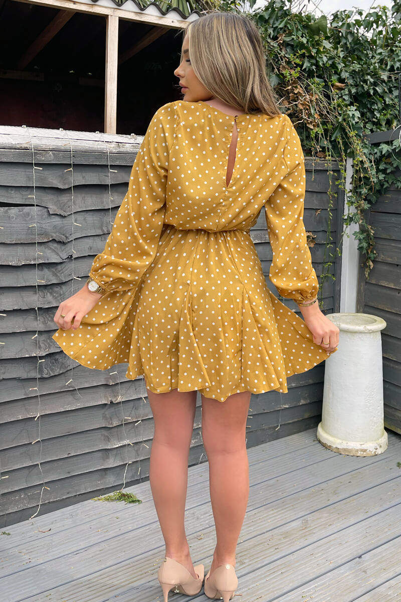 Mustard Polka Dot Long Sleeve Skater Dress AX Paris