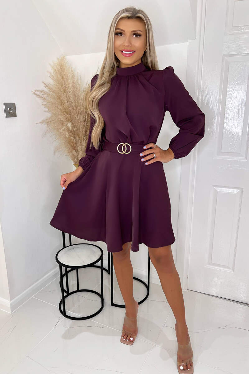 Plum High Neck Long Puff Sleeve Belted Skater Dress AX Paris