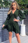 Green Animal Print V-Neck Long Sleeve Skater Dress