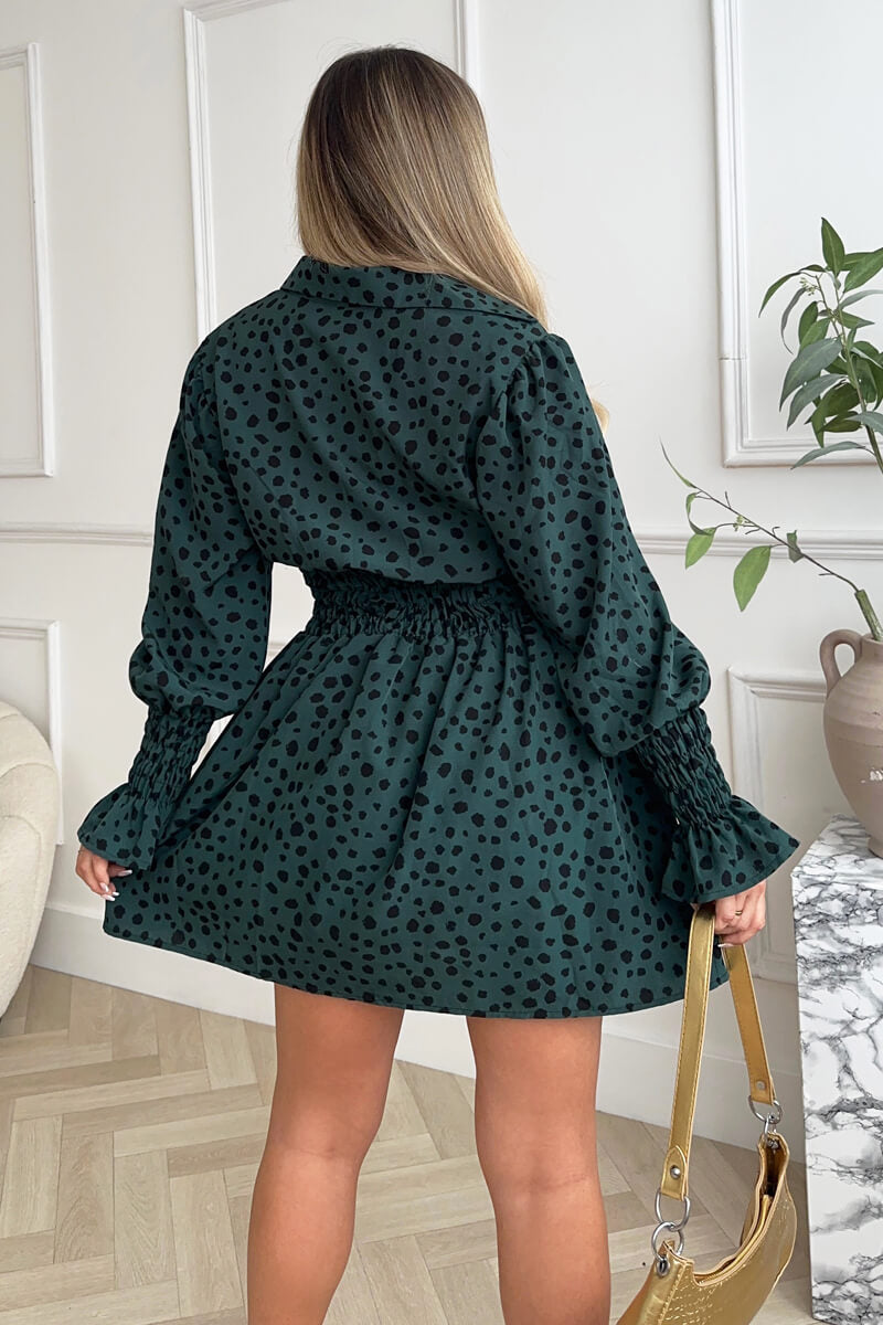 Teal Printed Shirred Detail Long Sleeve Shirt Skater Dress