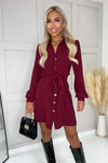 Wine Button Tie Front Mini Shirt Dress