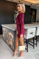 Wine Velvet Sequin Long Sleeve Mini Dress