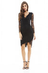 V Neck Lace Bodycon Dress