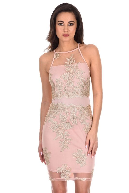 Pink And Gold Mesh Embroidered Dress AX Paris