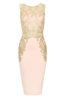 Pink and Gold Crochet Bodycon Dress – AX Paris